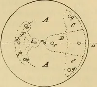 An illustration from Watch and clock escapements; (1904)