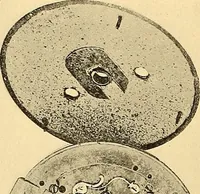 An illustration from Watches : the Paul M. Chamberlain collection at the Art Institute of Chicago (1921)