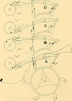 An illustration from Watches : the Paul M. Chamberlain collection at the Art Institute of Chicago (1921)