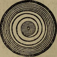 Picture 1 of 19 from The watch; its construction, its merits and defects, how to choose it, and how to use it (1860), leaf 15