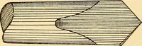 Picture 86 of 179 from The watchmakers' lathe, its use and abuse; a story of the lathe in its various forms, past and present, its construction and proper uses (1903), leaf 165