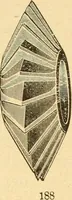 An illustration from The watchmakers' lathe, its use and abuse; a story of the lathe in its various forms, past and present, its construction and proper uses (1903)