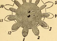 Picture 141 of 179 from The watchmakers' lathe, its use and abuse; a story of the lathe in its various forms, past and present, its construction and proper uses (1903), leaf 232