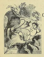 An illustration from The water-babies : a fairy tale for a land-baby (1864)