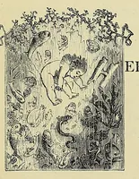 Picture 6 of 6 from The water-babies : a fairy tale for a land-baby (1864), leaf 275