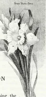 An illustration from Water color painting, a book of elementary instruction for beginners and amateurs. With illustrations by the author (1898)