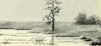 An illustration from Water color painting, a book of elementary instruction for beginners and amateurs. With illustrations by the author (1898)