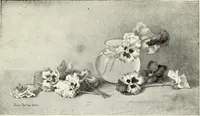 Picture 20 of 21 from Water color painting, a book of elementary instruction for beginners and amateurs. With illustrations by the author (1898), leaf 234