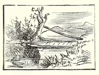 Picture 11 of 12 from Water color painting : description of materials with directions for their use in elementary practice : sketching from nature in water color (1882), leaf 167