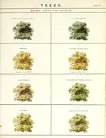 Picture 3 of 9 from Water colour without a master : upwards of two hundred examples of separate objects in landscape shown under various tints and afterwards composed into pictures : to which is added an index of tints, showing at a glance the various powers of the several colours and their compounds (1855), leaf 33