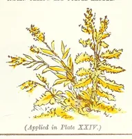 An illustration from Water colour without a master : upwards of two hundred examples of separate objects in landscape shown under various tints and afterwards composed into pictures : to which is added an index of tints, showing at a glance the various powers of the several colours and their compounds (1855)