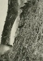 An illustration from Water-powers of Canada (1911)