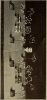 An illustration from The weaver's shuttle (weberschiffehen) .. (1914)