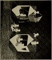 Picture 16 of 35 from The weaver's shuttle (weberschiffehen) .. (1914), leaf 30