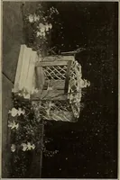 Picture 33 of 35 from The weaver's shuttle (weberschiffehen) .. (1914), leaf 50