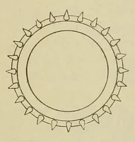Picture 15 of 17 from Weaving ... Instruction paper .. (1900), leaf 47