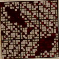 An illustration from [Weaving pattern and sample book (1900)