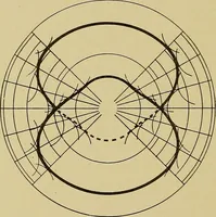 An illustration from Weaving; a practical guide to the mechanical construction, operation, and care of weaving machinery, and all details of the mechanical processes involved in weaving (1909)