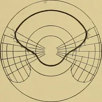 An illustration from Weaving; a practical guide to the mechanical construction, operation, and care of weaving machinery, and all details of the mechanical processes involved in weaving (1909)