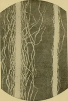 An illustration from Weaving; a practical guide to the mechanical construction, operation, and care of weaving machinery, and all details of the mechanical processes involved in weaving (1909)