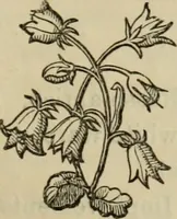 An illustration from The Wedgwood handbook : a manual for collectors : treating of the marks, monograms, and other tests of the old period of manufacture; also including the catalogues, with prices obtained at various sales, together with a glossary of terms (1875)