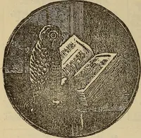 An illustration from Wehman Bros.' new book of one hundred and fifty parlor tricks and games : home-made apparatus (1905)