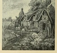 Picture 3 of 16 from Weldons flower embroidery (1900), leaf 10