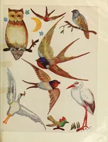 An illustration from Weldons flower embroidery (1900)