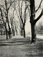 An illustration from The wellbeing of Waterloo : a report to the Civic Society of Waterloo, Iowa (1910)