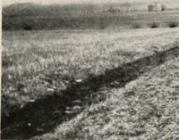 An illustration from The wellbeing of Waterloo : a report to the Civic Society of Waterloo, Iowa (1910)