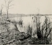 An illustration from The wellbeing of Waterloo : a report to the Civic Society of Waterloo, Iowa (1910)