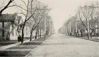 An illustration from The wellbeing of Waterloo : a report to the Civic Society of Waterloo, Iowa (1910)