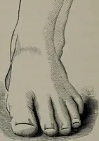 An illustration from The well-dressed woman: a study in the practical application to dress of the laws of health, art, and morals (1893)