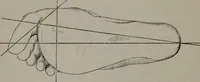 An illustration from The well-dressed woman: a study in the practical application to dress of the laws of health, art, and morals (1893)