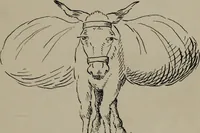 An illustration from The well-dressed woman: a study in the practical application to dress of the laws of health, art, and morals (1893)