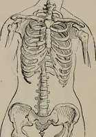 An illustration from The well-dressed woman: a study in the practical application to dress of the laws of health, art, and morals (1893)