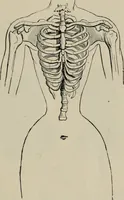 An illustration from The well-dressed woman: a study in the practical application to dress of the laws of health, art, and morals (1893)