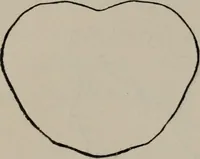 An illustration from The well-dressed woman: a study in the practical application to dress of the laws of health, art, and morals (1893)