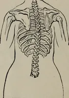 An illustration from The well-dressed woman: a study in the practical application to dress of the laws of health, art, and morals (1893)