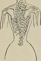 An illustration from The well-dressed woman: a study in the practical application to dress of the laws of health, art, and morals (1893)
