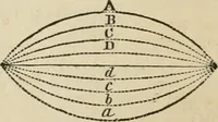 Picture 106 of 213 from Well's natural philosophy : for the use of schools, academies and privte students, introducing the latest results of scientific discovery and research ; arranged with special reference to the practical application of physical science to the arts and the experiences of everyday life ; with three hundred and seventy-five engravings (1873), leaf 193