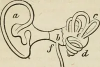 An illustration from Well's natural philosophy : for the use of schools, academies and privte students, introducing the latest results of scientific discovery and research ; arranged with special reference to the practical application of physical science to the arts and the experiences of everyday life ; with three hundred and seventy-five engravings (1873)