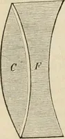 Picture 158 of 213 from Well's natural philosophy : for the use of schools, academies and privte students, introducing the latest results of scientific discovery and research ; arranged with special reference to the practical application of physical science to the arts and the experiences of everyday life ; with three hundred and seventy-five engravings (1873), leaf 333