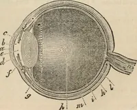 An illustration from Well's natural philosophy : for the use of schools, academies and privte students, introducing the latest results of scientific discovery and research ; arranged with special reference to the practical application of physical science to the arts and the experiences of everyday life ; with three hundred and seventy-five engravings (1873)