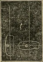 An illustration from Well's natural philosophy : for the use of schools, academies and privte students, introducing the latest results of scientific discovery and research ; arranged with special reference to the practical application of physical science to the arts and the experiences of everyday life ; with three hundred and seventy-five engravings (1873)