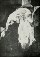 An illustration from Weltanschauungsprobleme und Lebenssysteme in der Kunst der Vergangenheit (1918)