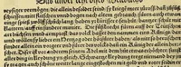 An illustration from Weltbuch : Spiegel vnd Bildtniss des gantzen Erdtbodens (1534)