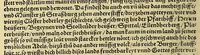 An illustration from Weltbuch : Spiegel vnd Bildtniss des gantzen Erdtbodens (1534)