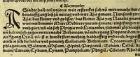 An illustration from Weltbuch : Spiegel vnd Bildtniss des gantzen Erdtbodens (1534)