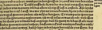 An illustration from Weltbuch : Spiegel vnd Bildtniss des gantzen Erdtbodens (1534)